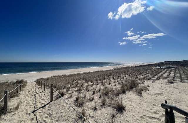 Ocean View Beach Cottage W/ Shared "Private" Beach #2