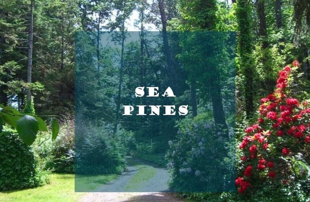 Sea Pines... Ocean view with path to beach!! Sleeps 10, Dog friendly.