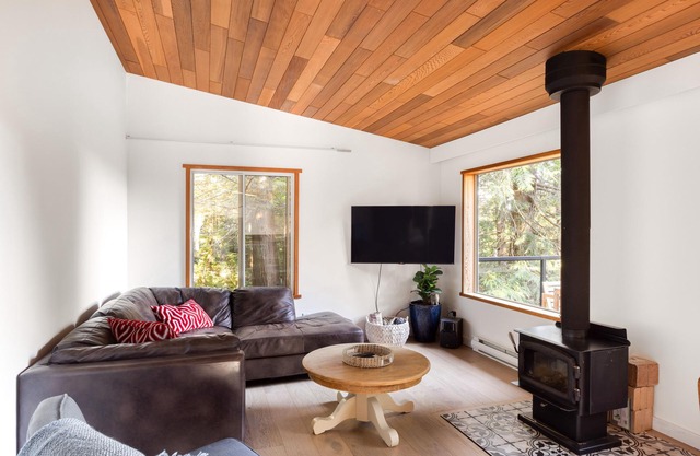 Ocean Vista in The woods a cozy cabin located in Salt Spring.