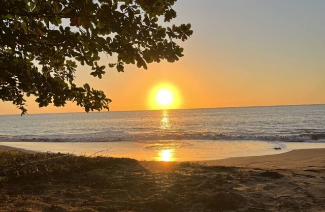 Oceanfront 5BR Oasis w/ Decks & Direct Beach Access