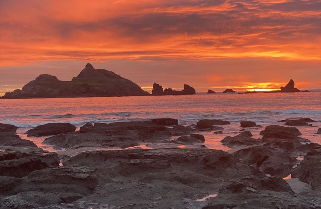 Pebble Beach House, direkt am Meer, Walbeobachtung, Redwood Groves, Surfen, Sonnenuntergänge
