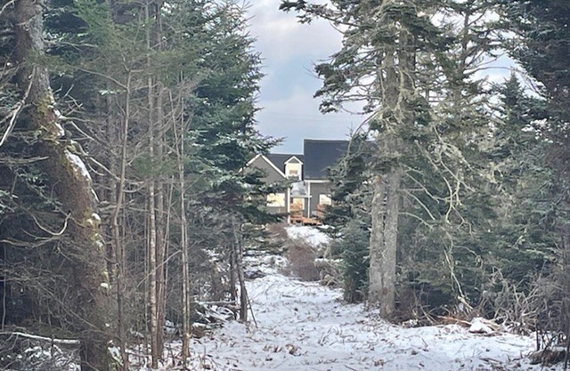 Oceanfront B&B on the Lighthouse Route. Family/Pet friendly, Warm Hospitality!