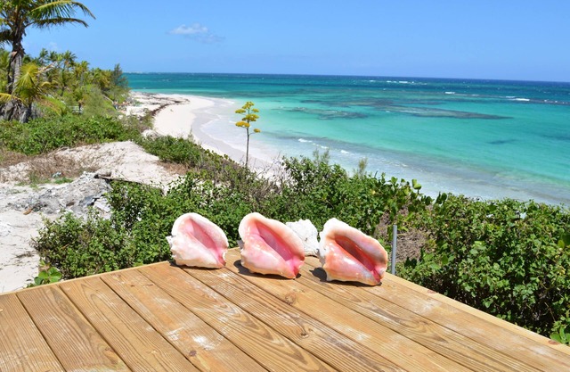 Oceanfront-Brand new Eleuthera Haus