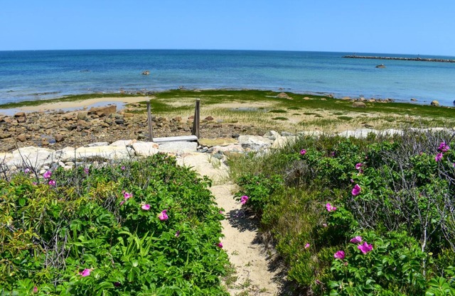 Oceanfront Bayside home with private beach!
