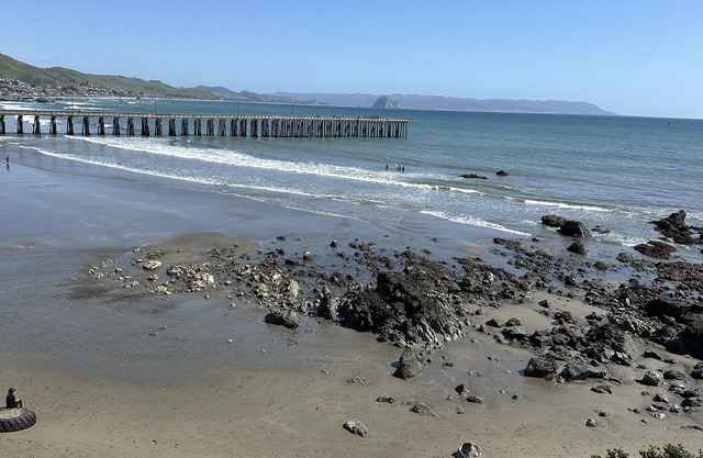 Oceanfront condo with PRIVATE deck. Pet friendly. Just a short walk to town.