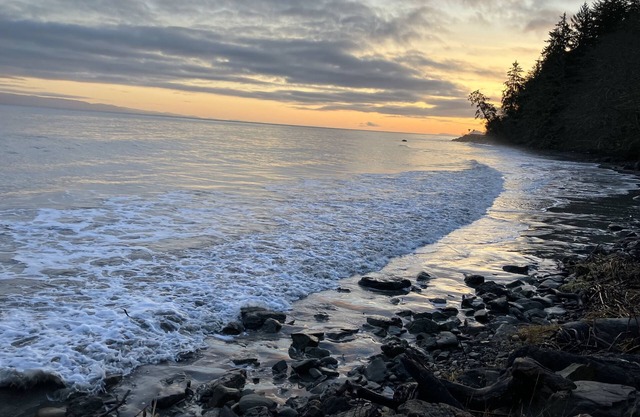 OceanFront Cottage, Beachwander for miles &/or explore the Olympic National Park