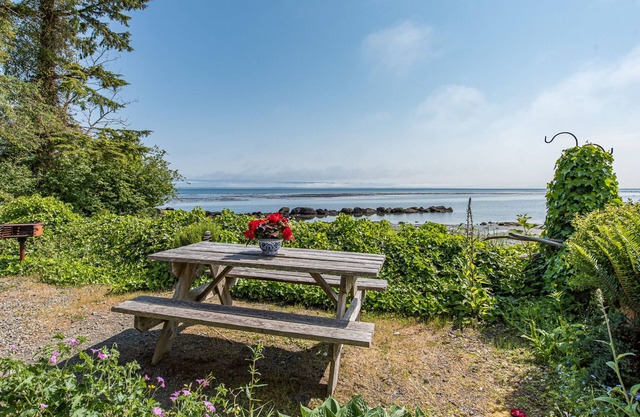 OceanFront Cottage, Beachwander for miles &/or explore the Olympic National Park