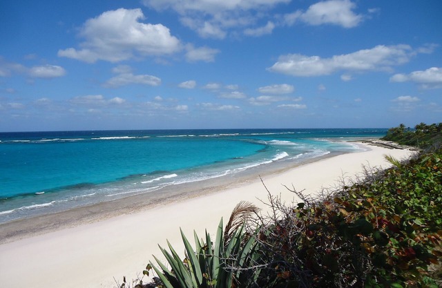 Oceanfront Glashaus auf privaten Verlassene Pink Sand Beach