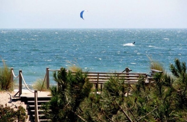 Oceanfront Stinson Beach, Master Ste, renoviert, Dune Deck, Media Rm.