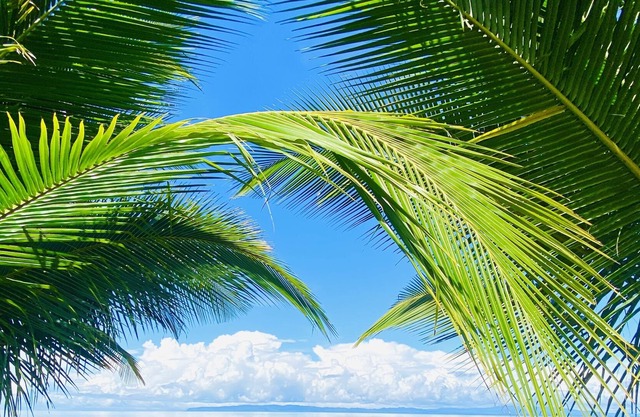 Unwind in stylish Oceanfront pool villa- AC, Wifi, WFH