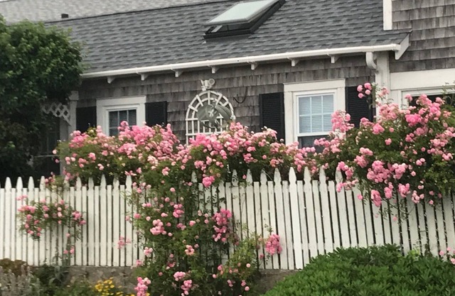 Direkt am Meer in der Buzzards Bay