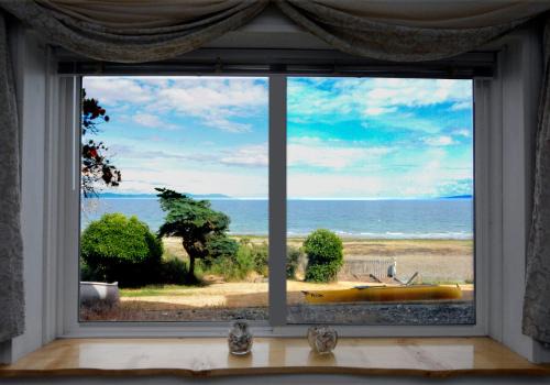 Oceanfront Paradise