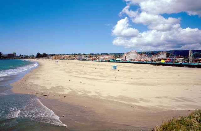 OCEANFRONT @ SANTA CRUZ BEACH * Vollständige Privatsphäre * Hinterhof, Strand, Aussicht, HUND OK!