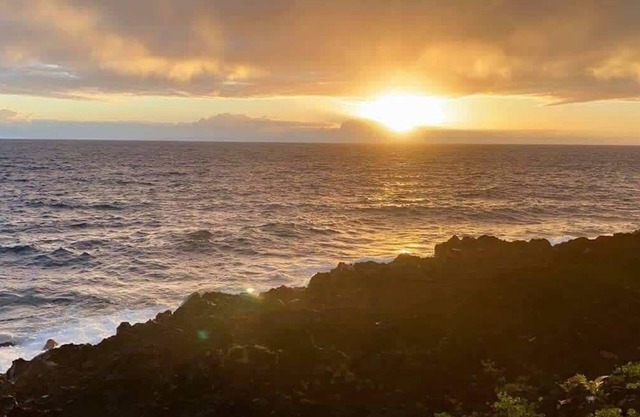 Oceanfront Studio · Oceanfront Studio. See whales, turtles & dolphins!