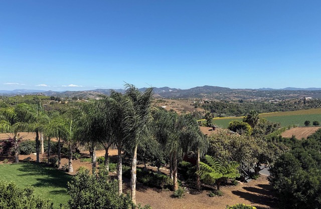Oceanside/Bonsall Treehouse Studio on Farmstay – Relaxing Getaway