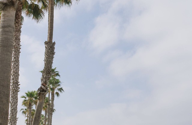 Oceanside California Beach Condo