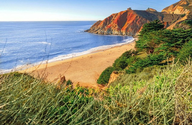 Oceanview by-the-Sea Beach Studio - walk to Beaches, Trails, Restaurants +