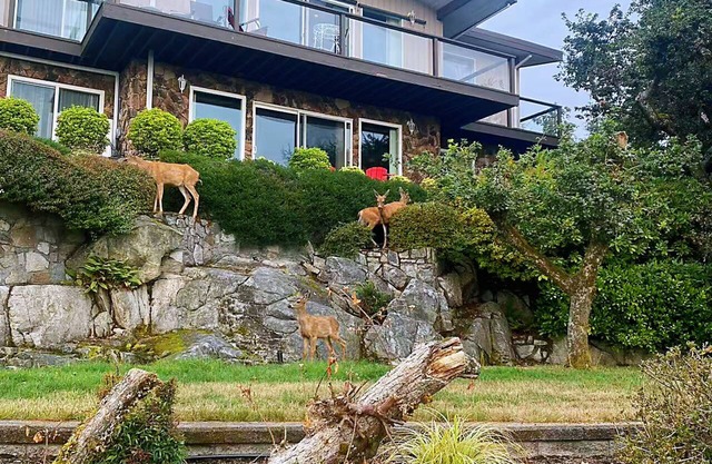 Oceanview Guesthouse