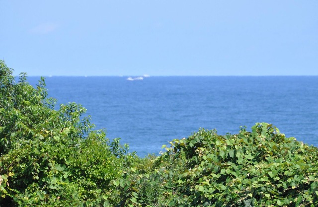 Twin Pond Oceanfront Studio mit Strand Pass auf 2. 5 Morgen