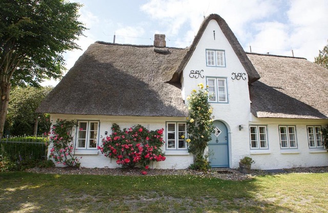 Oevenum Vogelkoje in Oevenum EG