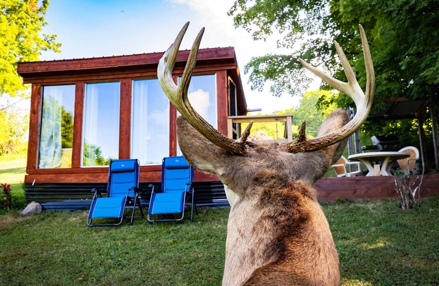 Tiny House in the Catskill Mountains with Indoor Bath Tub
