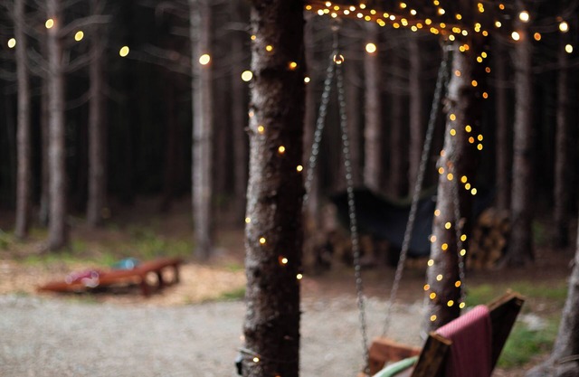Off-Grid Micro-Cabin in the Heart of Albert County