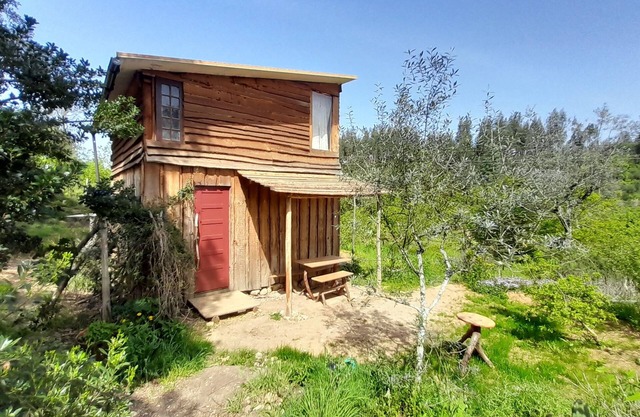 Off-grid, romantic wooden cabin with library and cottage gardens