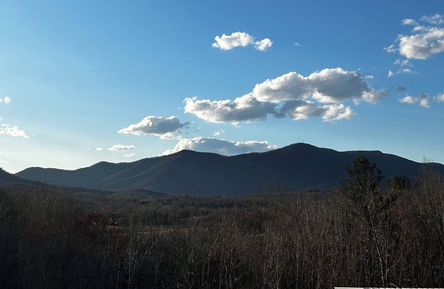 Off the beaten path in Mt Airy, NC. Mountain View’s on 14 acres. Duplex.
