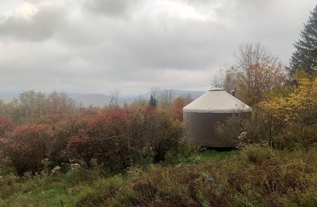 off-the-grid tiny house cabin AND yurt in Livingston Manor, NY