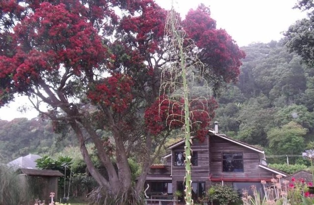 OHOPE, ABSOLUTE STRANDVORDERSEITE