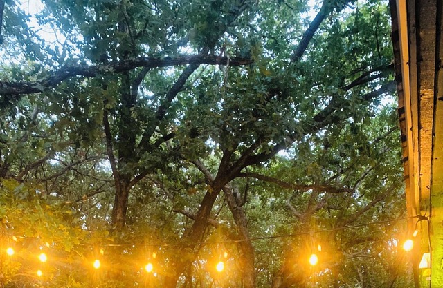 Okmulgee Lake house! Oasis in the Oaks, relax by the tranquil waters!