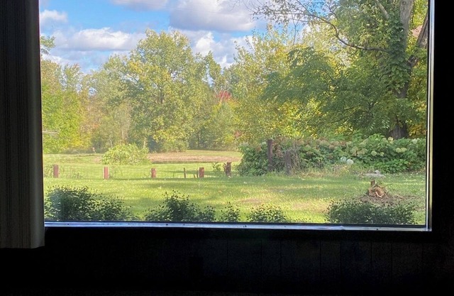 Okon's Underground Rental Battle Creek scenic venue pond/river 70's wildlife