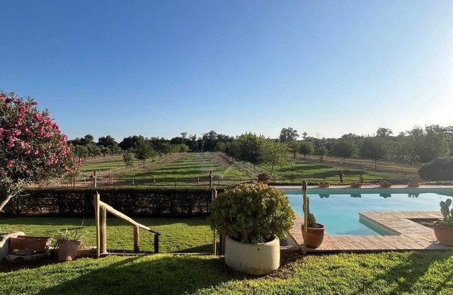 OLIVE GROVE OF GATOS FARM