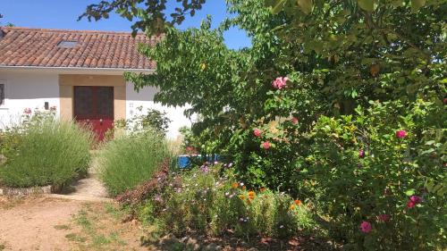 Ola Linda - Casa de Campo -