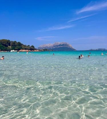 Olbia 53-11