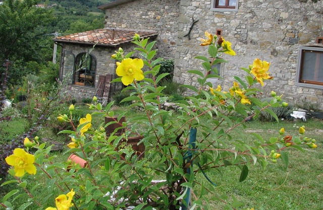 Alte restaurierte Scheune, mit privatem Pool und Blick ins Tal