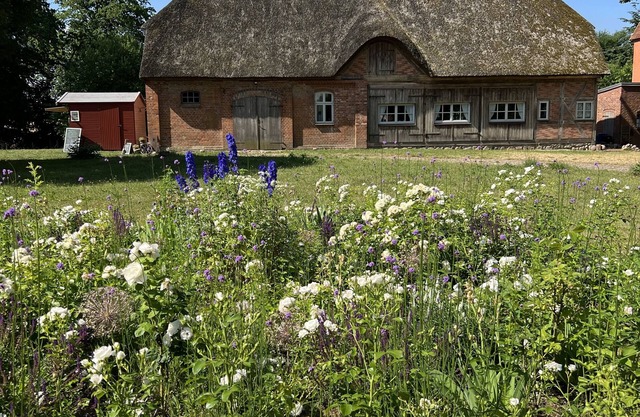 Old thatched coach house for up to 5 people.