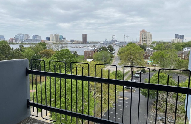 **LUXURY Old Towne Apartment**