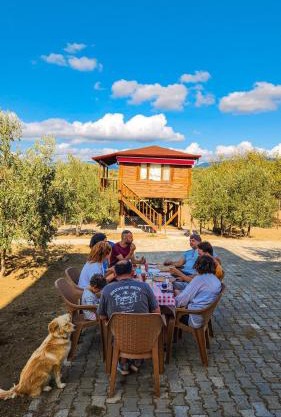 Oli Camping & Bungalows