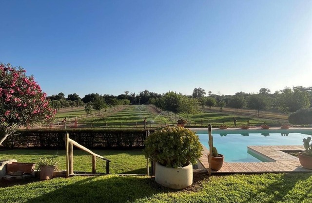 OLIVE GROVE OF GATOS FARM
