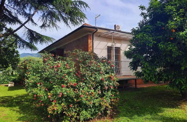 Olive Grove Garden House With Mountain View Close to Forte dei Marmi