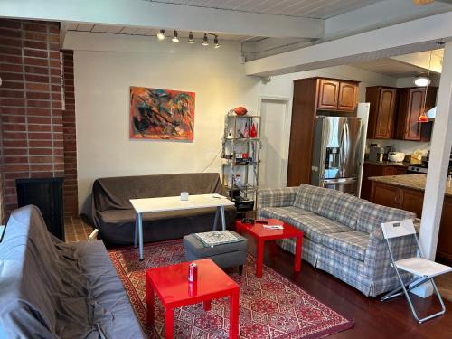 Olive Startup House