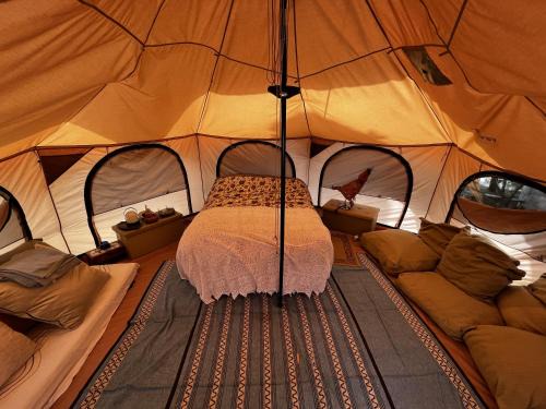 Olive Tent - In Our Garden