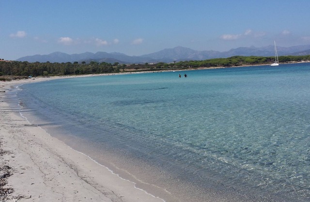 Olivenbaum * Studios * 800 m vom Meer entfernt in Tanaunella Budoni
