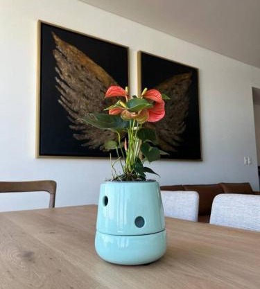 Olivo Apartment HP - Sur