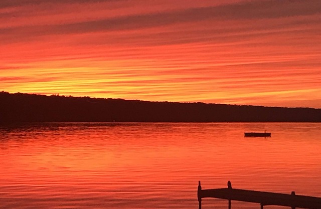 Ruhiges Finger Lakes Cottage mit Bach, Wald und ebenem Strand