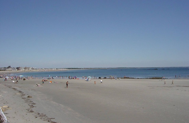 Am Strand, im Salzsumpf, bekommen Sie das Beste aus beiden Welten