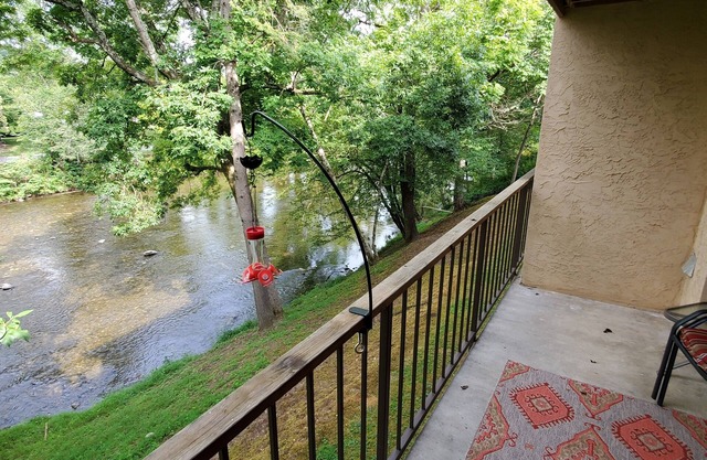 On the Little River in the heart of Townsend, with a beautiful view!