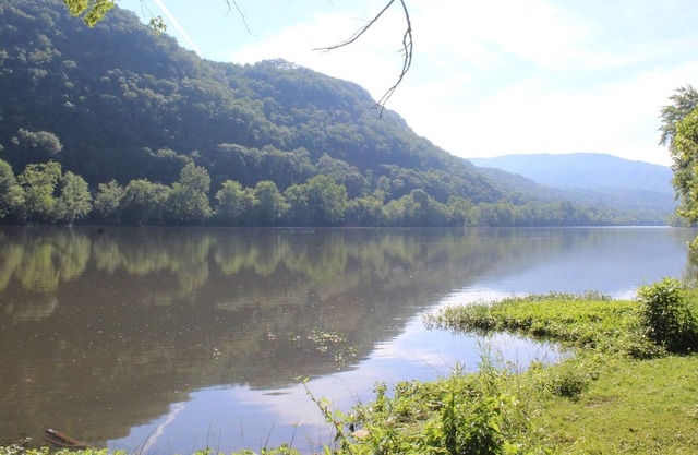 On the New River, Huge Porch, Well-Equipped Kitchen, WiFi, Pet-Friendly