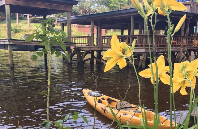 Einmal im Leben Toledo Bend